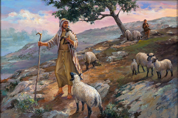 sheep-or-shepherd